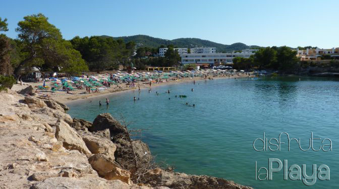 Einleitung Des Strandes Es Port D Es Torrent