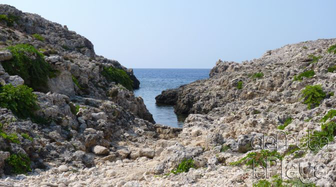 Sa Cigonya