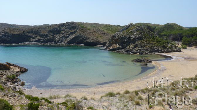 Savinar de Mongofre